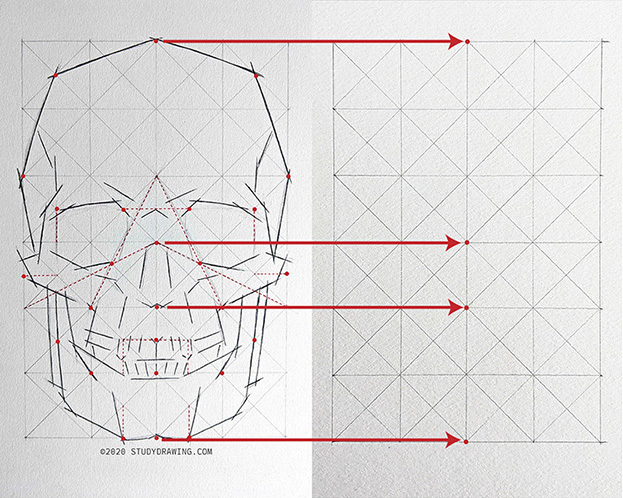 A diagram of a skull drawing with lines pointing at positions on a grid. 