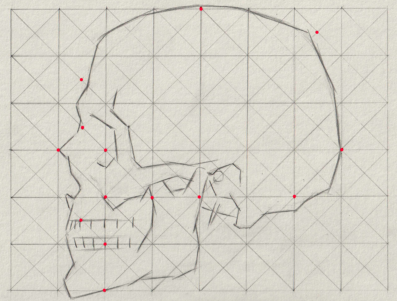 Skull Side Guide