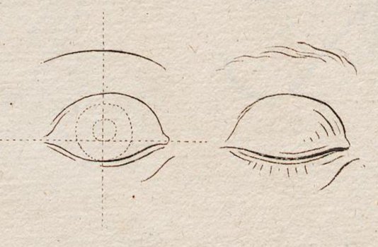 A diagram of how to draw a human eye.