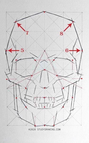 A diagram for drawing a human skull showing several steps. 