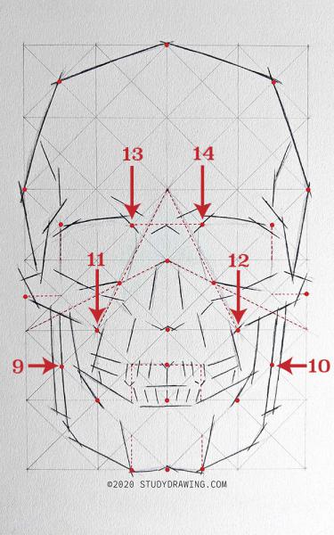 A diagram for drawing a human skull showing several steps. 