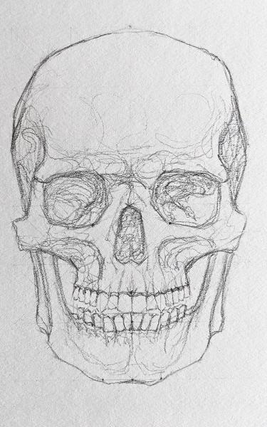 A drawing of a skull. 