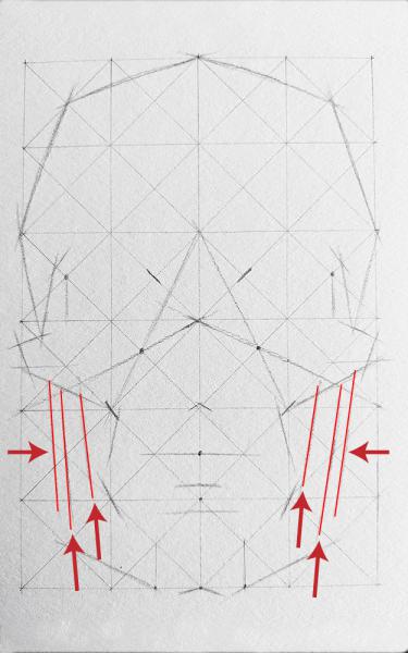 A diagram for drawing a human skull showing several steps. 