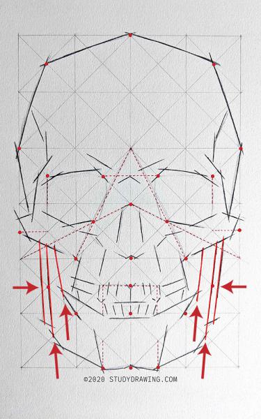 A diagram for drawing a human skull showing several steps. 