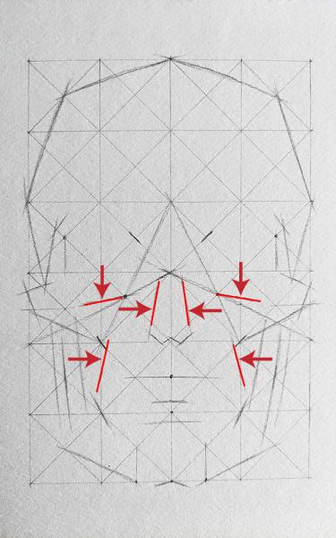 A diagram for drawing a human skull showing several steps. 
