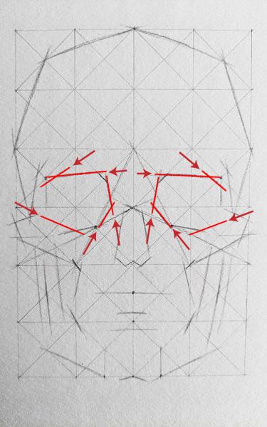 A diagram for drawing a human skull showing several steps. 