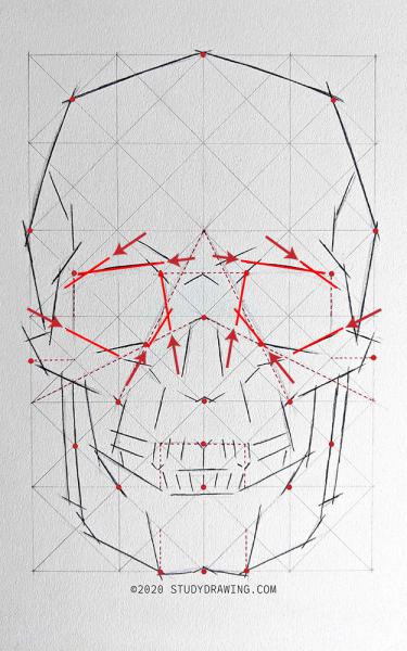 A diagram for drawing a human skull showing several steps. 