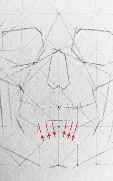 A diagram for drawing a human skull showing several steps. 