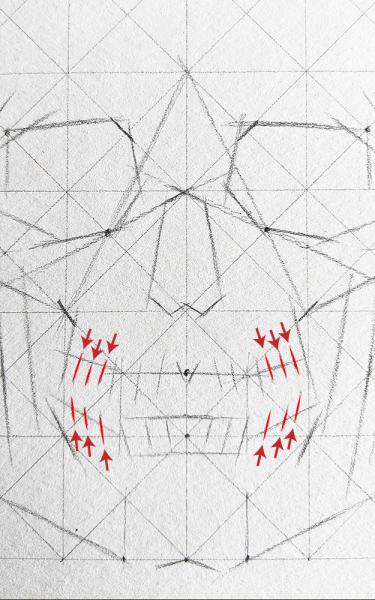 A diagram for drawing a human skull showing several steps. 