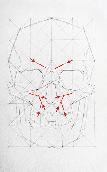 A diagram for drawing a human skull showing several steps. 