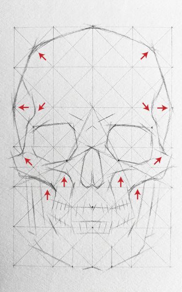 A diagram for drawing a human skull showing several steps. 