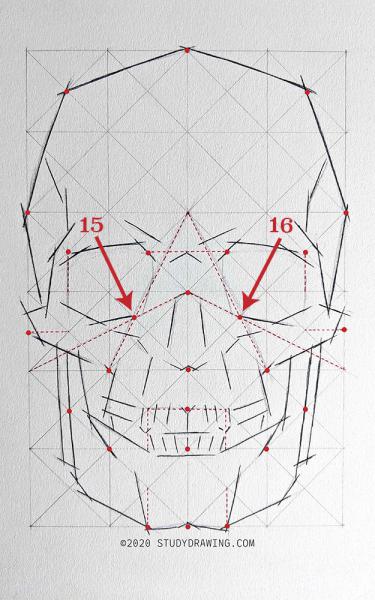 A diagram for drawing a human skull showing several steps. 