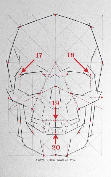 A diagram for drawing a human skull showing several steps. 