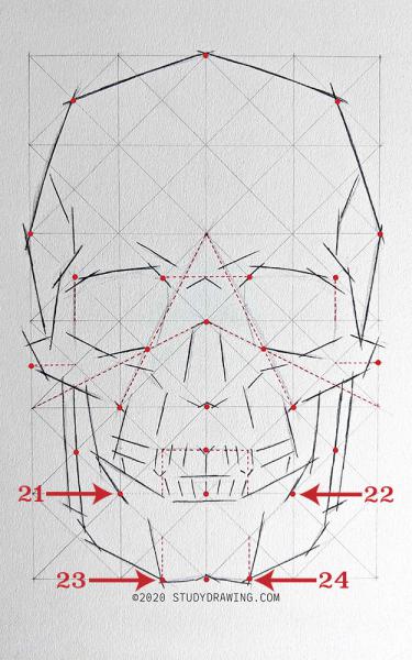 A diagram for drawing a human skull showing several steps. 