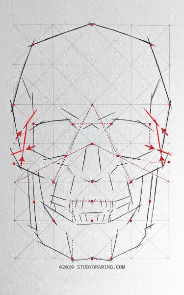 A diagram for drawing a human skull showing several steps. 