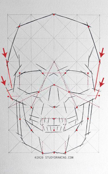 A diagram for drawing a human skull showing several steps. 